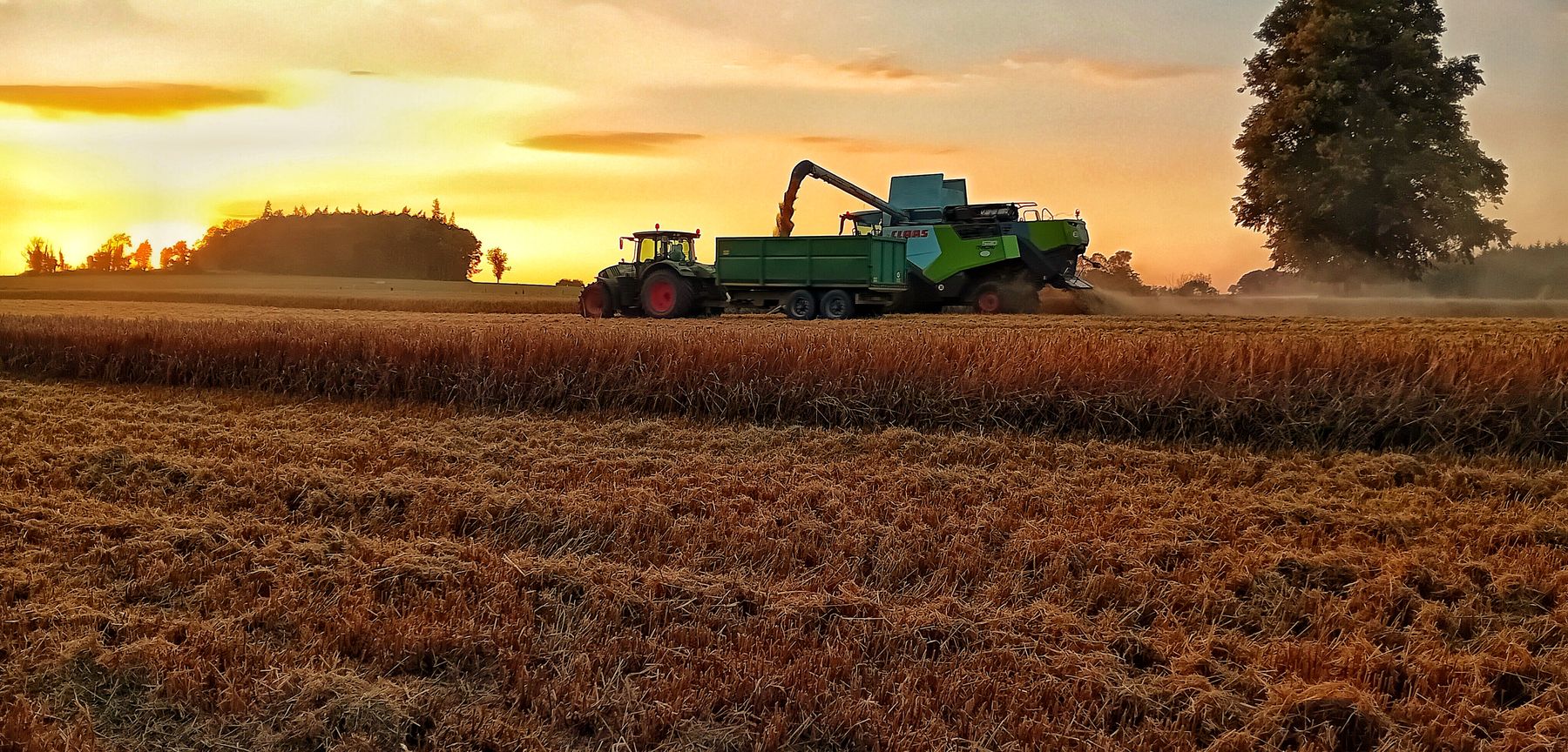Mietitura dell'orzo al tramonto nei campi di Ballykilcavan