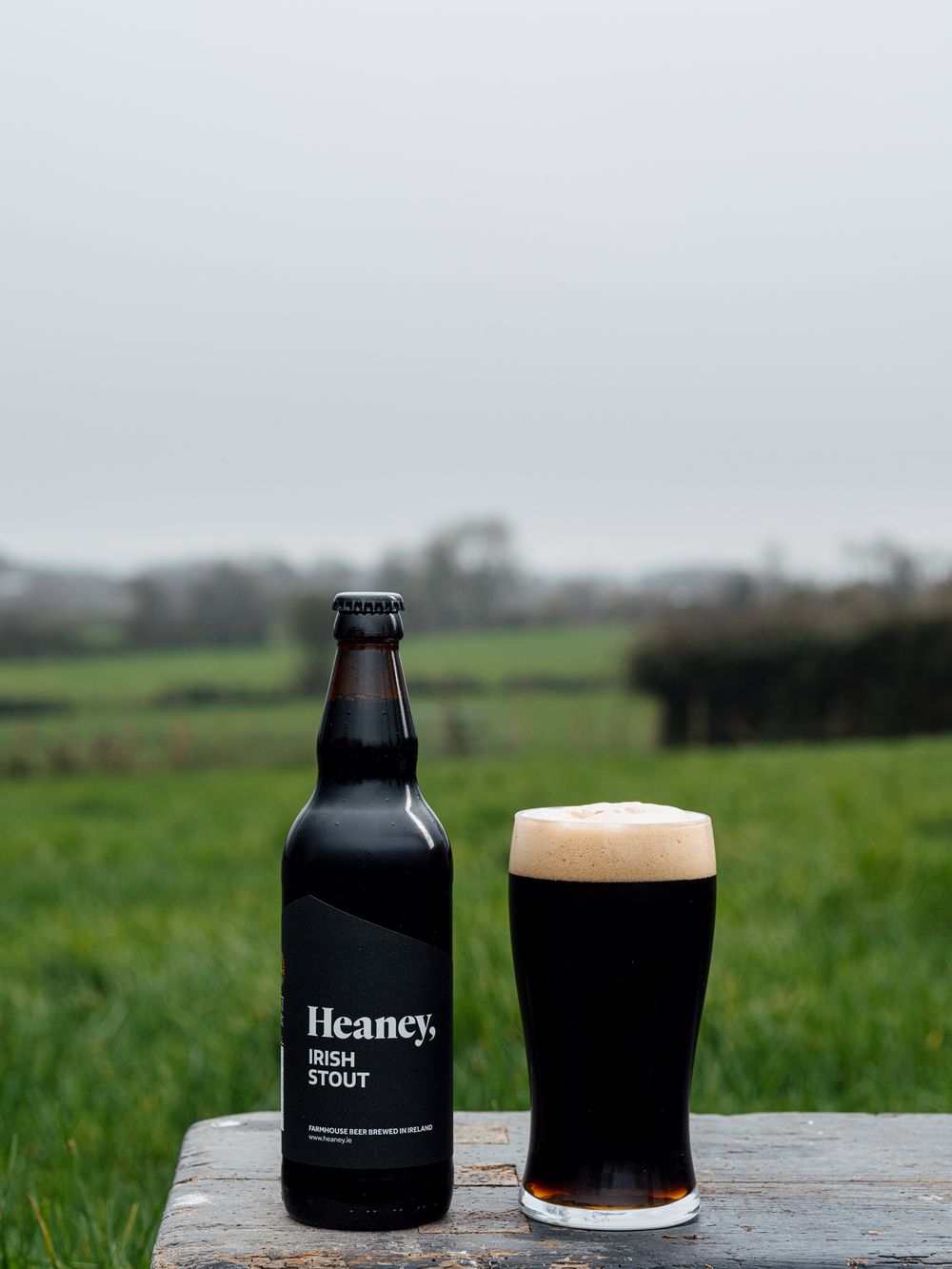 Bottiglia e pinta di Heaney Irish Stout su un muretto, nei campi di Bellaghy