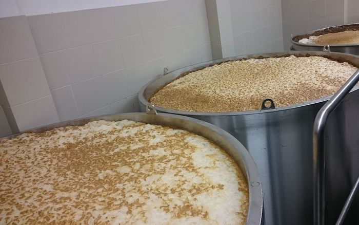 I tini di fermentazione a Únětice